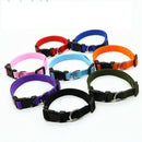 Dog Pet Adjustable Nylon Collar Small Medium Large XL With Buckle Puppy