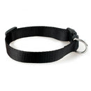 Dog Pet Adjustable Nylon Collar Small Medium Large XL With Buckle Puppy