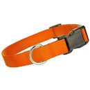 Dog Pet Adjustable Nylon Collar Small Medium Large XL With Buckle Puppy