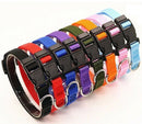 Dog Pet Adjustable Nylon Collar Small Medium Large XL With Buckle Puppy